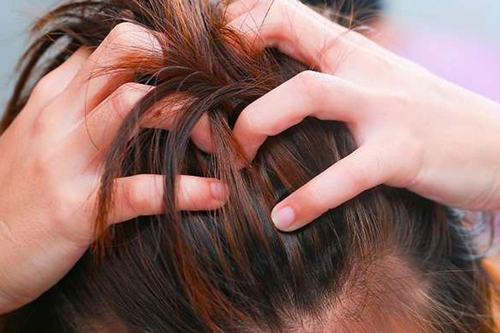 The best way to oil your hair Indulgeo Essentials