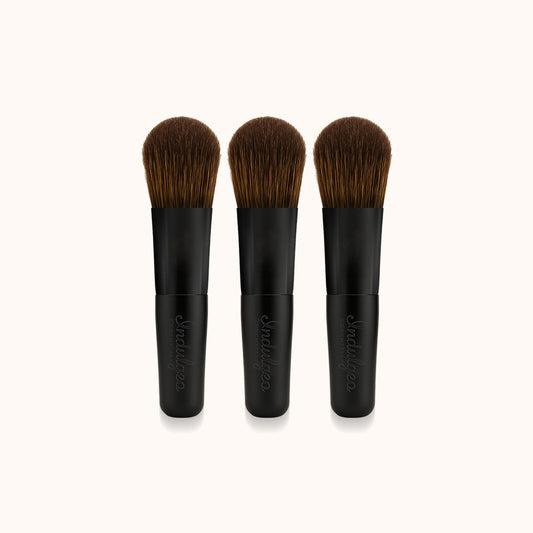 Pack of 3 : Face Pack Brushes