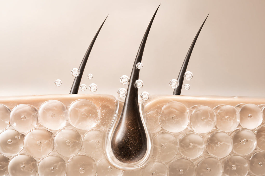 The "Scalp Skinification" Guide: Why Your Scalp Needs a Routine Just Like Your Face