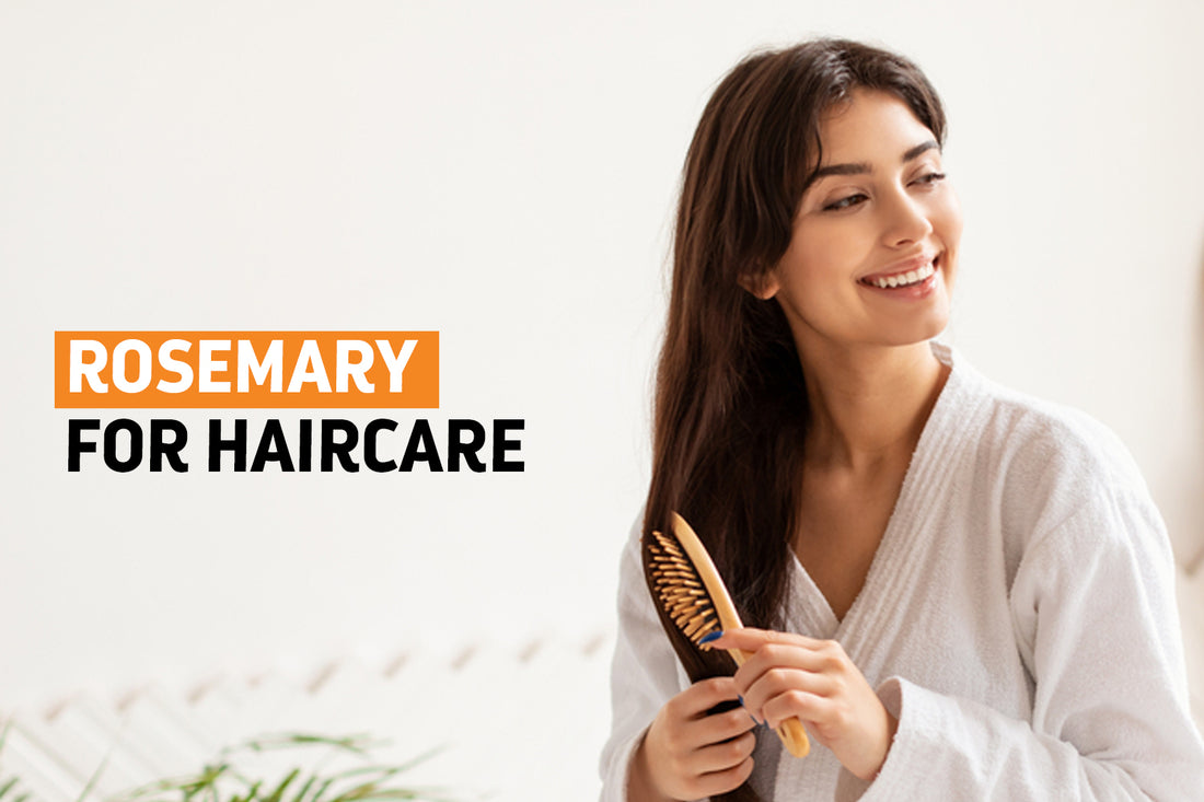 Opting Rosemary for Hair Care: Why It Is Widely Accepted