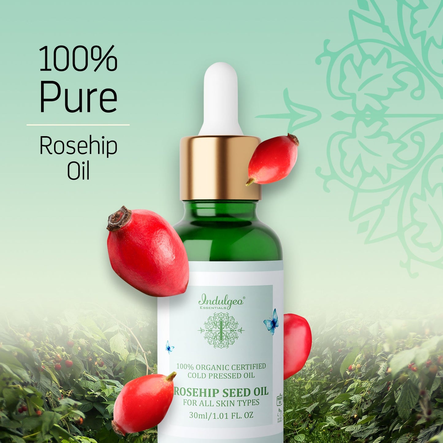 Rosehip Oil - 100% Cold Pressed Oil for Repair & Brightening (30ml)