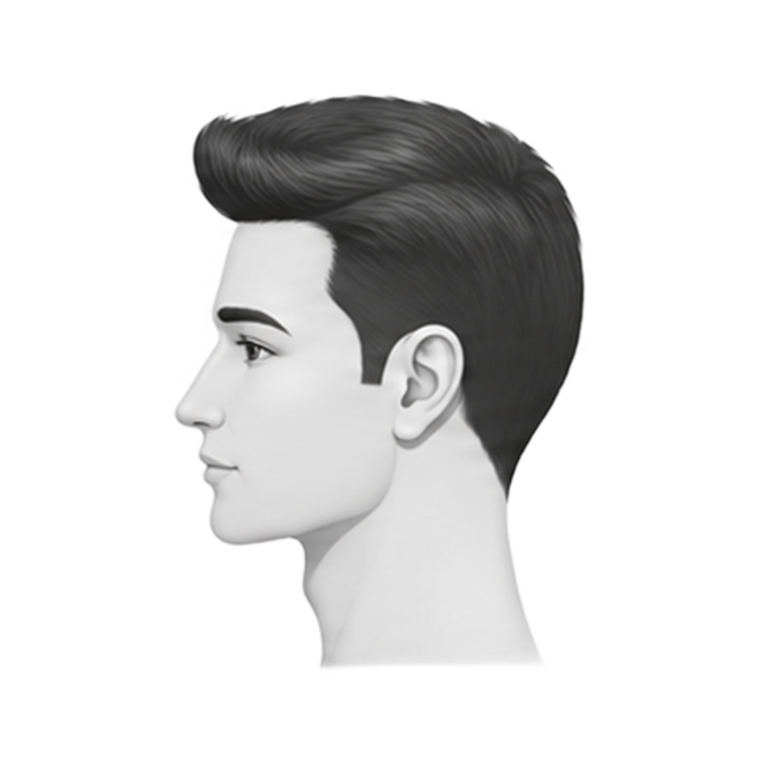Stage 1 — full hairline